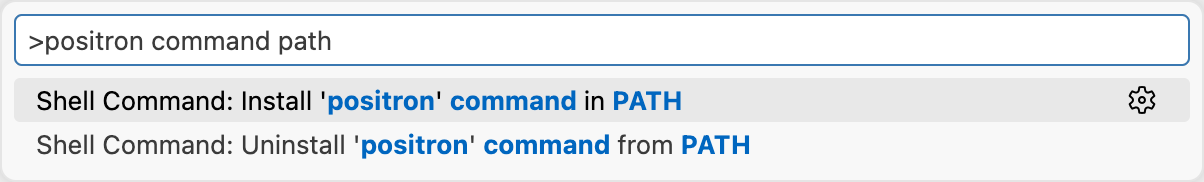 Command Palette showing 'positron path' search with options to install or uninstall the positron command in PATH.